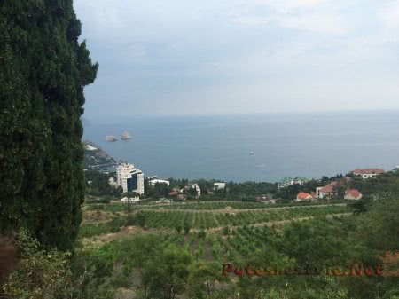 Природа крымского курорта Гурзуф Природа крымского курорта Гурзуф