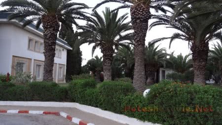 Зеленая территория отеля Зеленая территория отеля