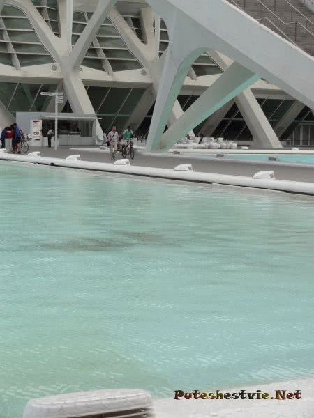 Бассейн в Городе Наук и Искусств Валенсии