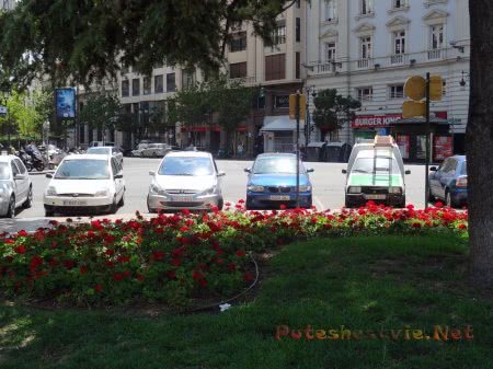 Ухоженные клумбы на площади Валенсии