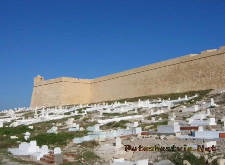 Тунис и его наилучшие куроты Тунис и его наилучшие куроты