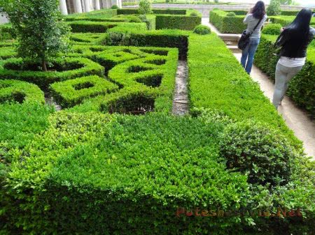 Сад Эскориала Сад Эскориала