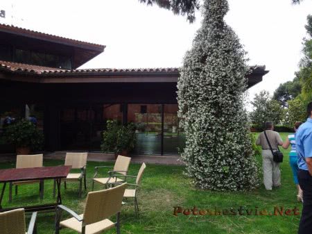 Бутик-отель «Ла-Боэлья» в Испании Бутик-отель «Ла-Боэлья» в Испании