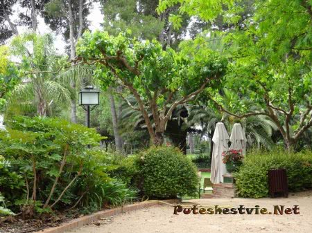 Бутик-отель «Ла-Боэлья» в Испании Бутик-отель «Ла-Боэлья» в Испании