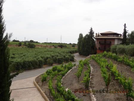 Бутик-отель «Ла-Боэлья» в Испании Бутик-отель «Ла-Боэлья» в Испании