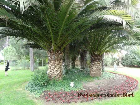 Бутик-отель «Ла-Боэлья» в Испании Бутик-отель «Ла-Боэлья» в Испании