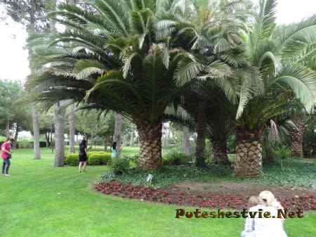 Бутик-отель «Ла-Боэлья» в Испании Бутик-отель «Ла-Боэлья» в Испании