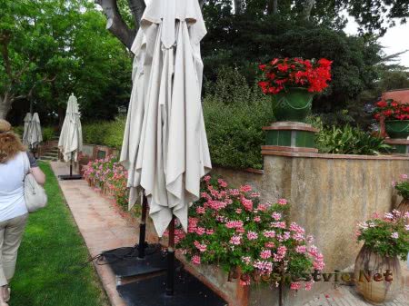 Бутик-отель «Ла-Боэлья» в Испании Бутик-отель «Ла-Боэлья» в Испании