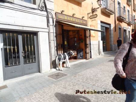 Что посмотреть в испанском Сан-Лоренцо де Эль Эскориал?