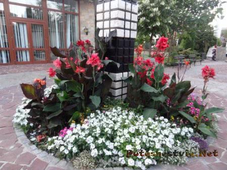 Helena Sands 5 - пятизвездочный отель в Болгарии Helena Sands 5 - пятизвездочный отель в Болгарии