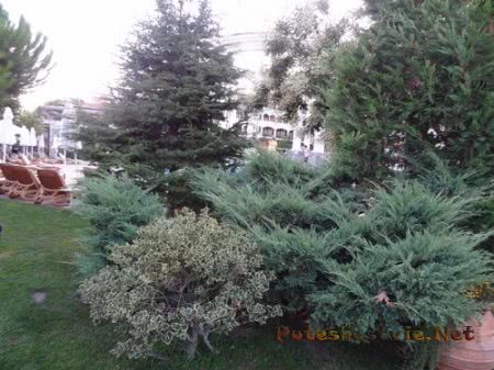 Helena Sands 5 - пятизвездочный отель в Болгарии Helena Sands 5 - пятизвездочный отель в Болгарии