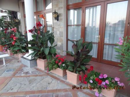 Helena Sands 5 - пятизвездочный отель в Болгарии Helena Sands 5 - пятизвездочный отель в Болгарии