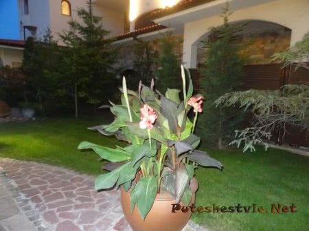 Helena Sands 5 - пятизвездочный отель в Болгарии Helena Sands 5 - пятизвездочный отель в Болгарии