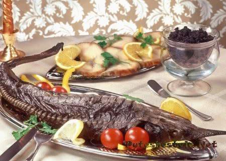 Гастрономические туры по России Гастрономические туры по России