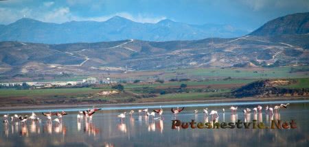 Ларнака - курорт Южного Кипра