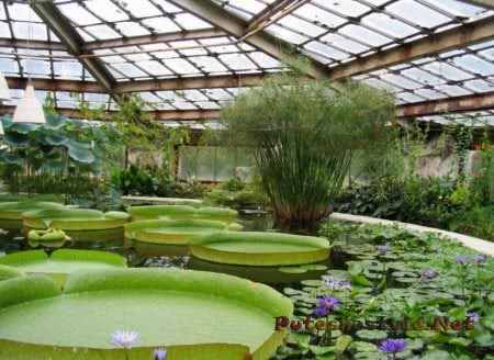 Самые известные оранжереи мира Самые известные оранжереи мира