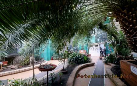 Самые известные оранжереи мира Самые известные оранжереи мира