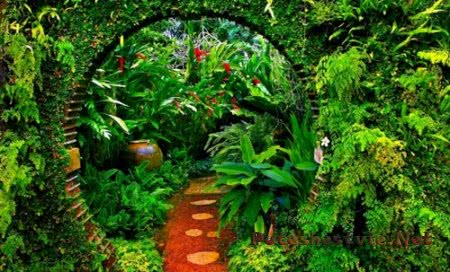 Самые известные оранжереи мира Самые известные оранжереи мира