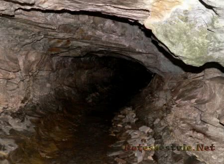 Что посмотреть в Сочи? Что посмотреть в Сочи?