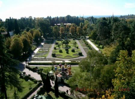 Что посмотреть в Сочи? Что посмотреть в Сочи?