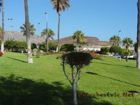 Недорогие отели на Канарах Недорогие отели на Канарах