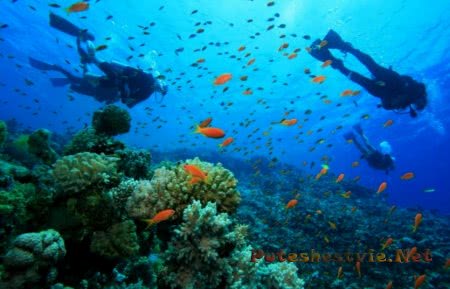 Лучший дайвинг в Испании