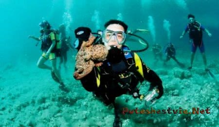 Лучший дайвинг в Испании