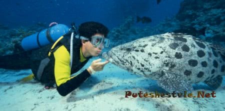 Лучший дайвинг в Испании