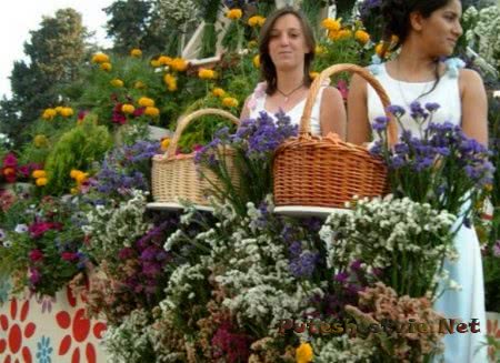 праздник Анфестирия праздник Анфестирия