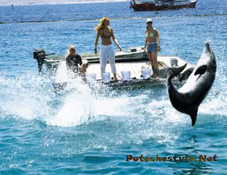 Израиль зовет россиян на свои курорты