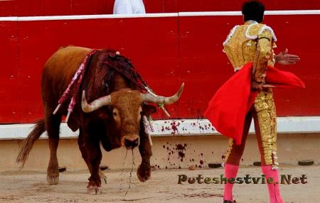 Расписание корриды в Испании в этом году