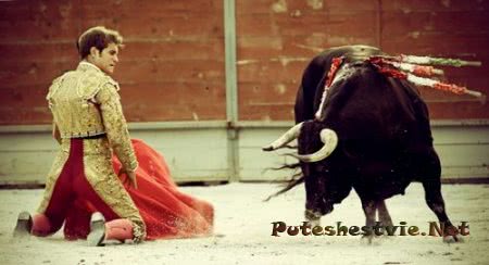 Расписание испанской корриды