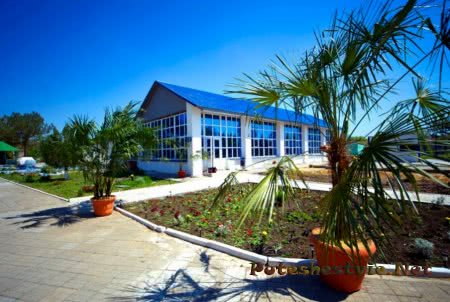 Лучшие отели черноморского побережья России