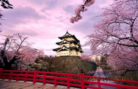 Знаменитые замки Японии