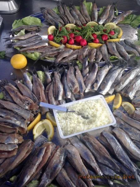 День селедки в Нидерландах День селедки в Нидерландах