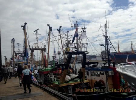 День селедки - праздник в Нидерландах День селедки - праздник в Нидерландах