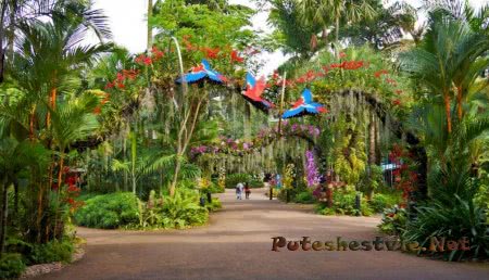 Самые интересные парки мира