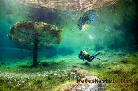 Самые интересные парки мира