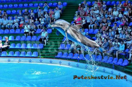 Отдых в Адлере Отдых в Адлере