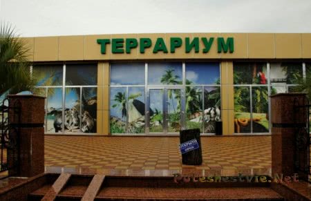 Отдых в Адлере Отдых в Адлере