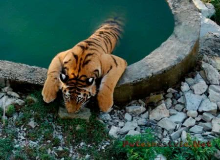 Город-курорт Геленджик