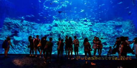 Город-курорт Геленджик