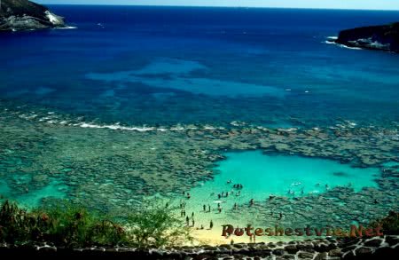 Самые лучшие пляжи Гавайев Самые лучшие пляжи Гавайев