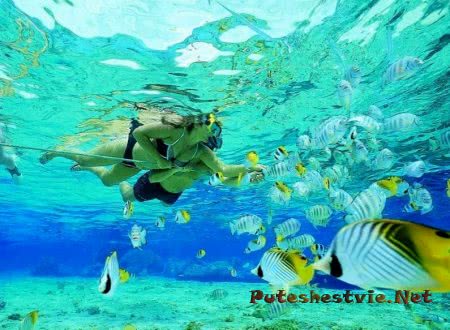 Остров Пхи-Пхи в Таиланде