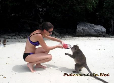 Остров Пхи-Пхи в Таиланде