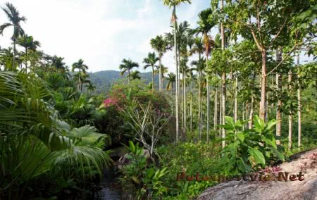 Китайский остров Хайнань Китайский остров Хайнань