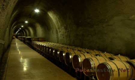 Винный тур по Италии