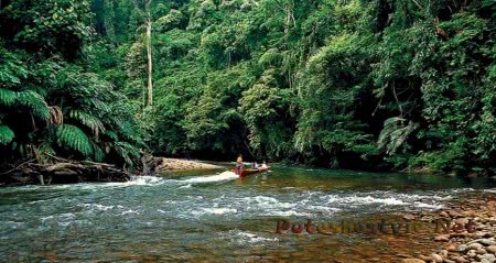 экотуризм в Брунее