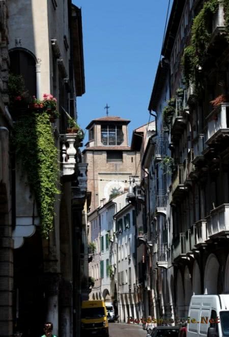 Колокольня кафедрального собора Святого апостола Петра Колокольня кафедрального собора Святого апостола Петра