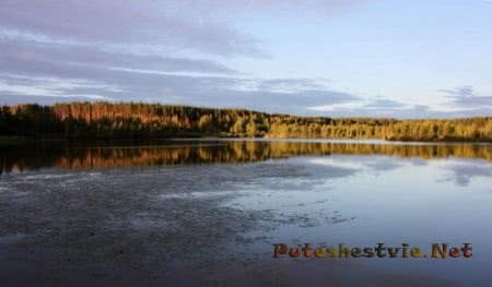 Плавающий остров озера Клюквенник Курская область Плавающий остров озера Клюквенник Курская область